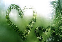 如无缘围甲卞相壹损失近百万 韩国整体损失超千万.