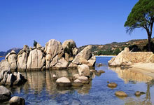 如无缘围甲卞相壹损失近百万 韩国整体损失超千万.